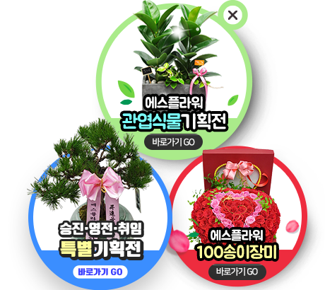 �����Ĺ�, 100������� �̺�Ʈ