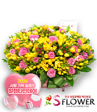 �󼼳��뺸��