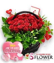 �󼼳��뺸��